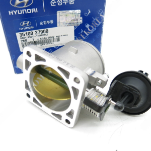 KIA/Hyundai Throttle Body